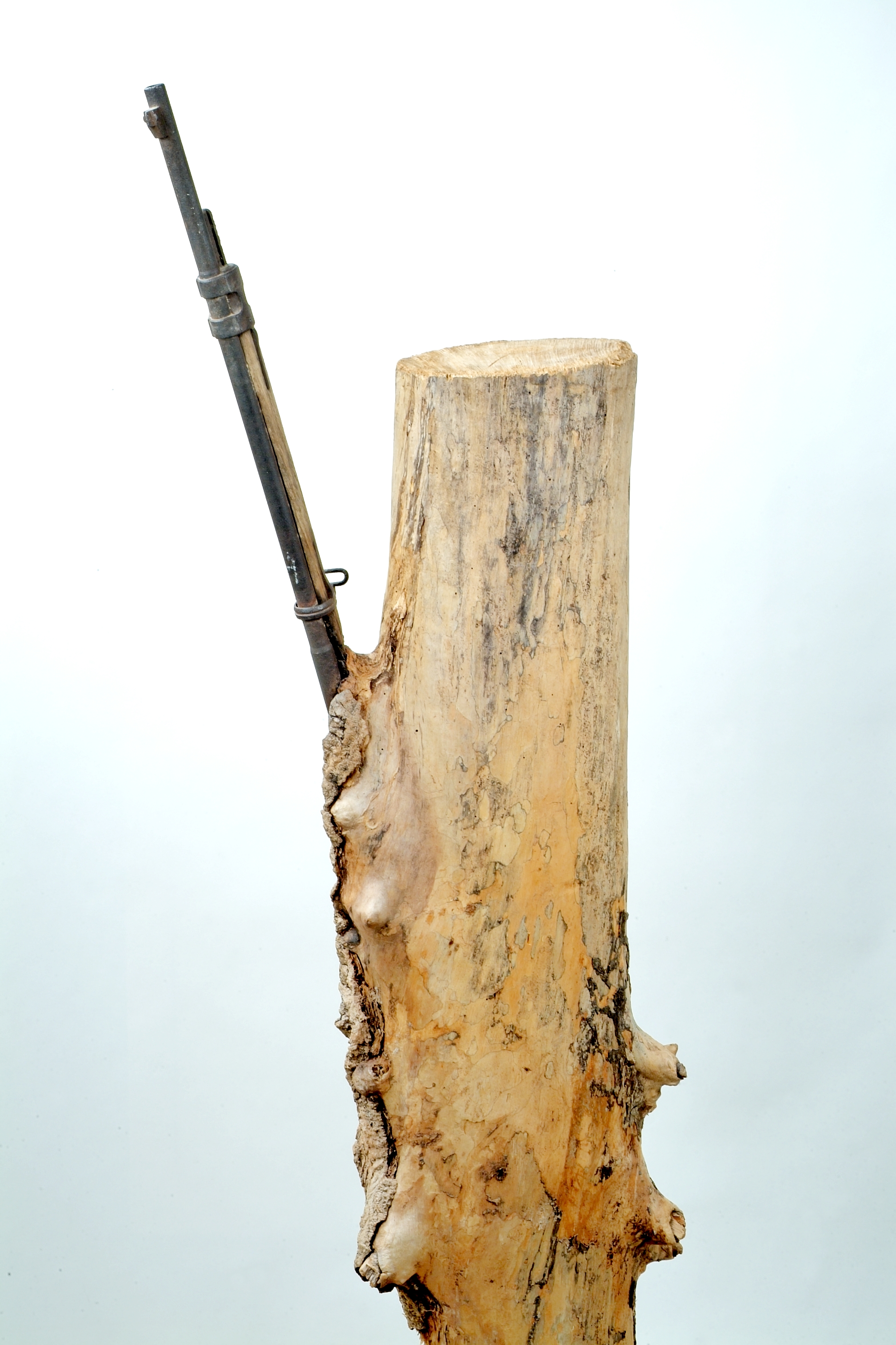 L'arbre au fusil (titre factice)